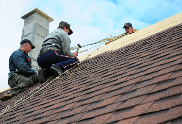 Quick and Trustworthy Emergency Roof Repair Services in Dayton, NV